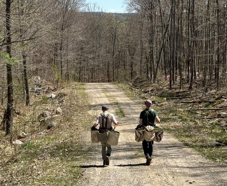 Friends of the Petawawa Research Forest – Discover the forest